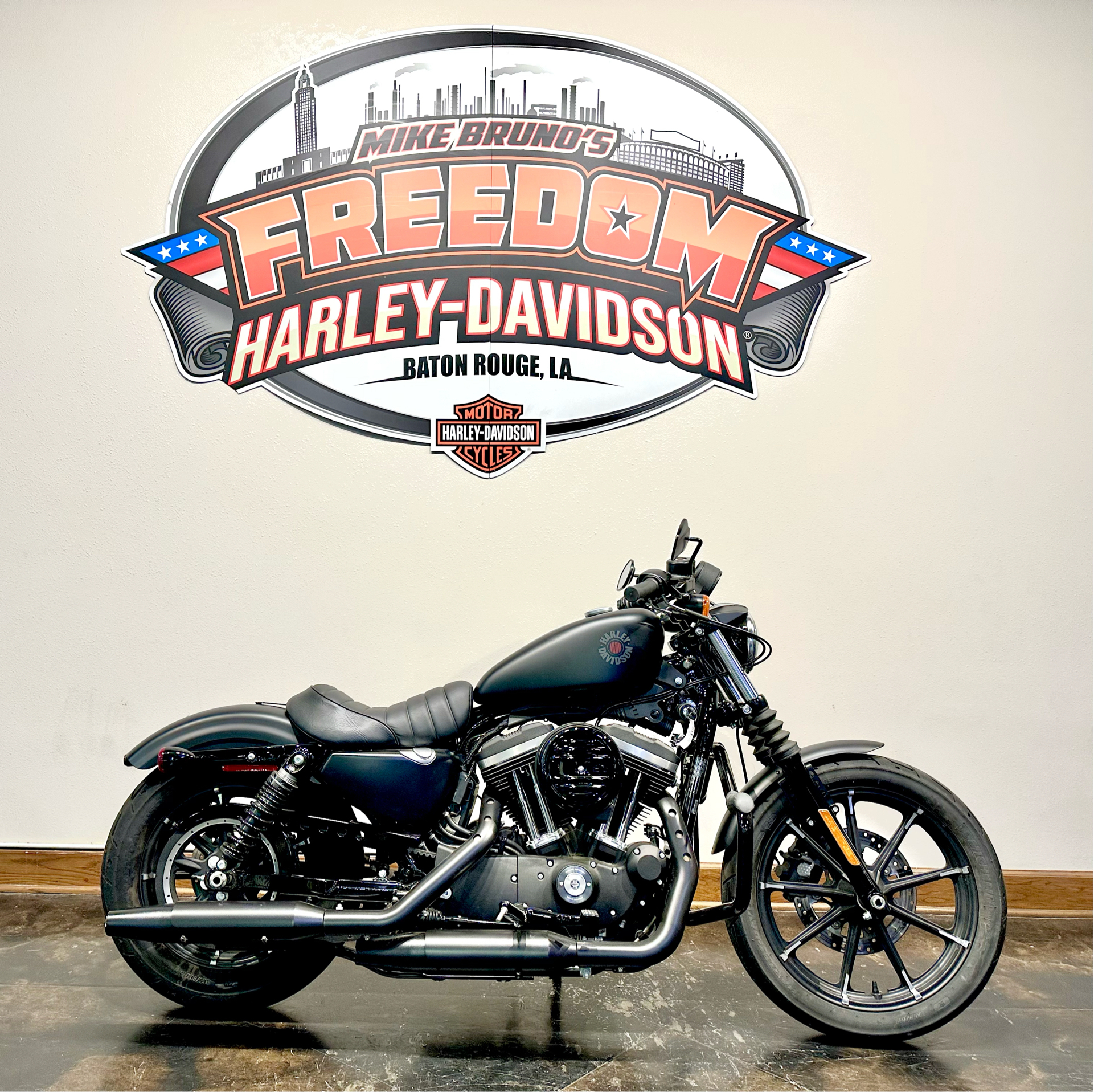 2020 Harley-Davidson Iron 883™ in Baton Rouge, Louisiana - Photo 1