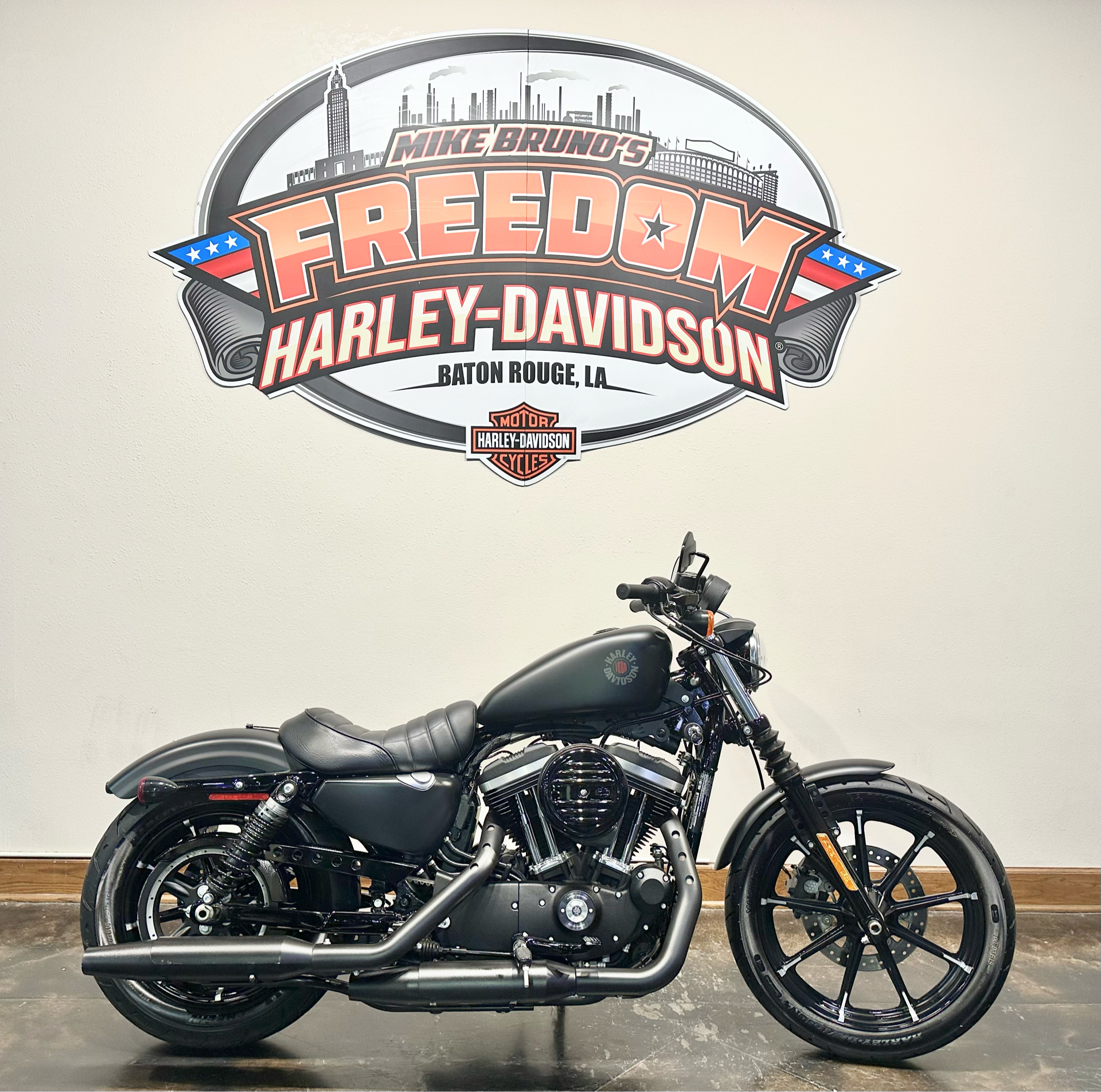 2020 Harley-Davidson Iron 883™ in Baton Rouge, Louisiana - Photo 1