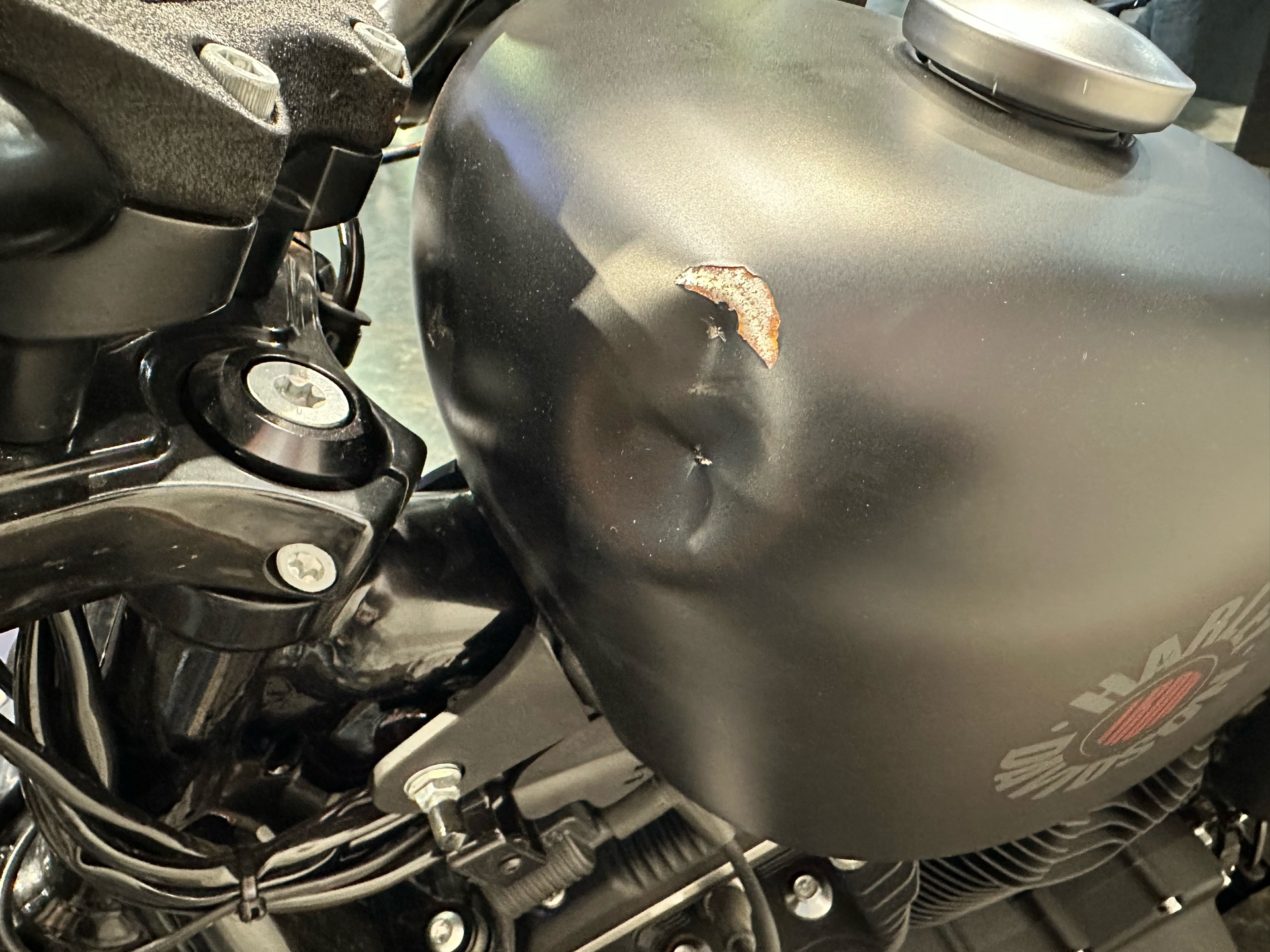 2022 Harley-Davidson Iron 883™ in Baton Rouge, Louisiana - Photo 13