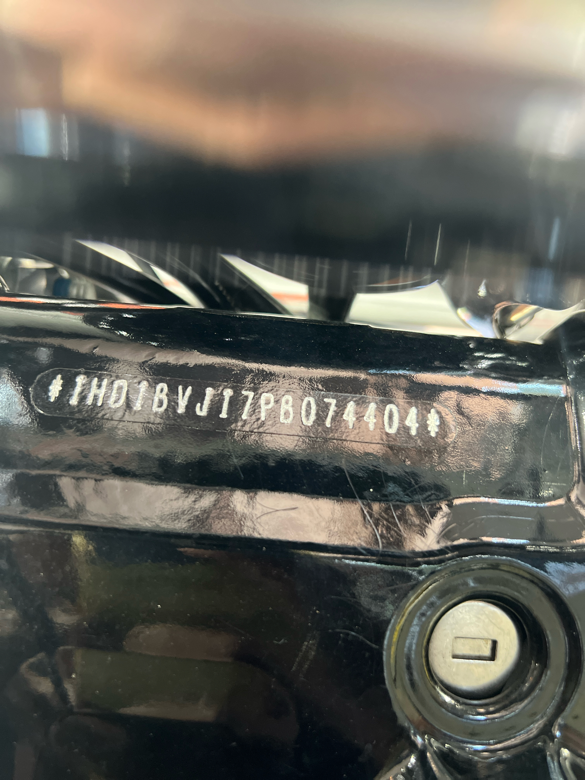 2023 Harley-Davidson Softail® Standard in Slidell, Louisiana - Photo 9