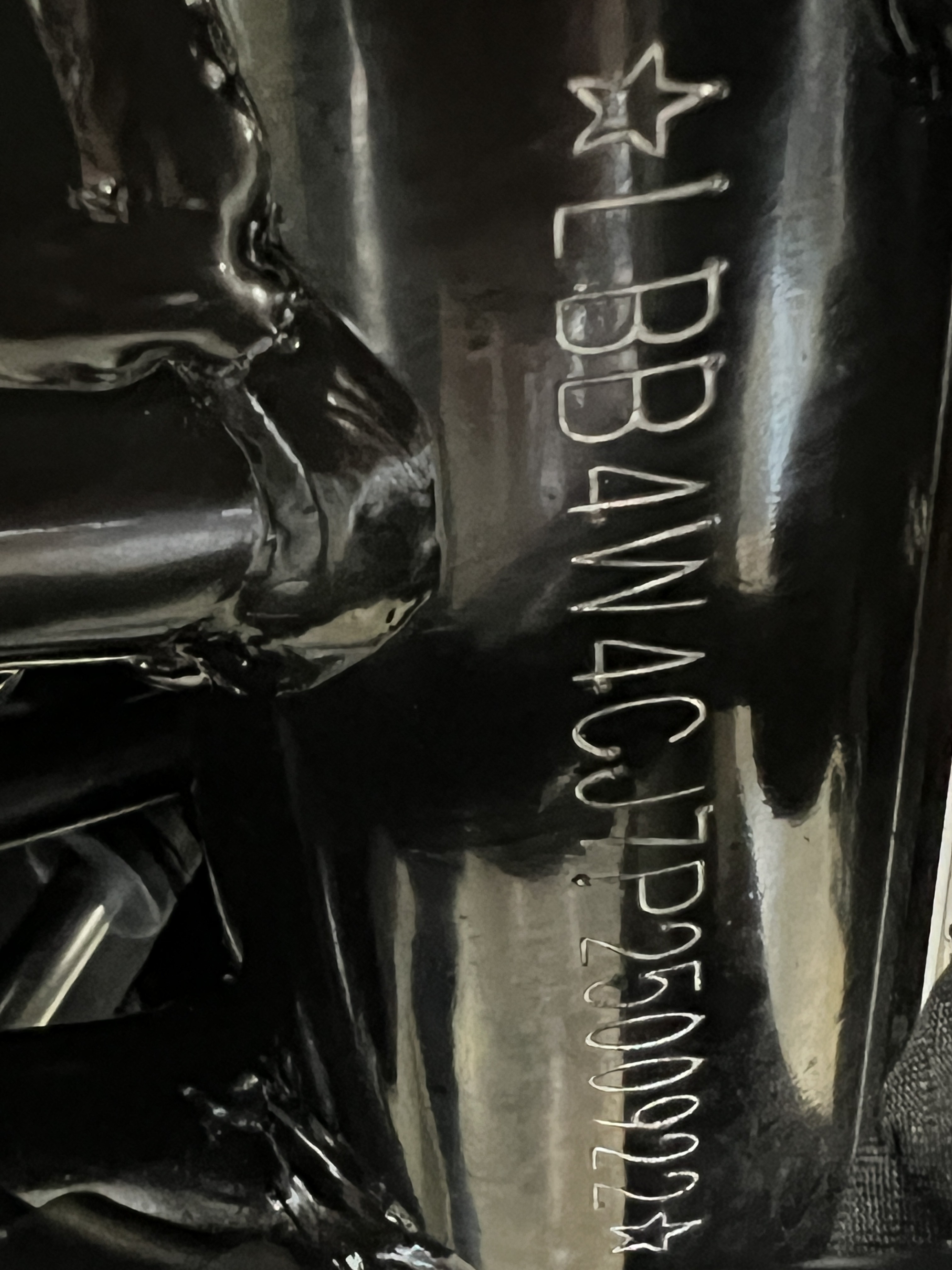 2023 Harley-Davidson X350RA in Slidell, Louisiana - Photo 12
