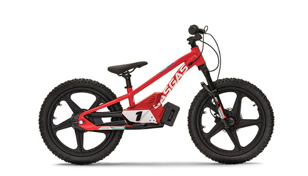 2024 Stacyc 20eDRIVE in Billings, Montana