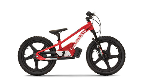 2024 Stacyc 20eDRIVE in Billings, Montana