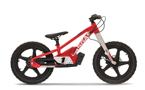 2024 Stacyc 18eDRIVE in Billings, Montana