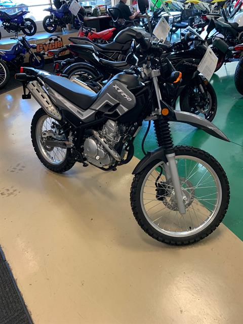 New 2025 Yamaha XT250 | Motorcycles in Newnan GA | Y19120 Radical Gray