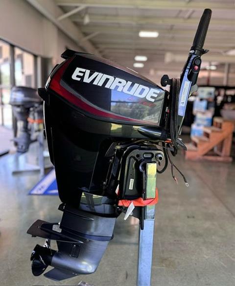 Evinrude 25 TILLAR in Pine Bluff, Arkansas - Photo 3