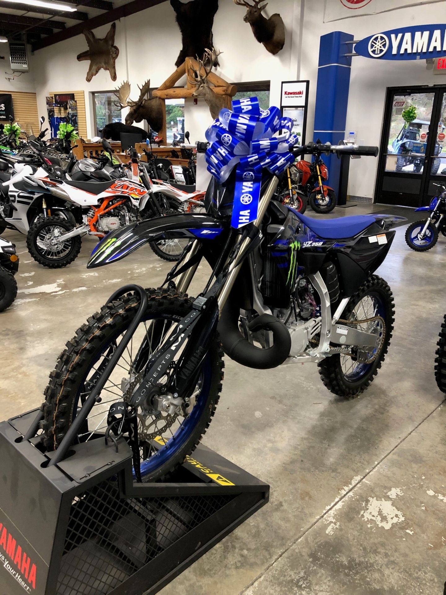 New 2025 Yamaha YZ250 Monster Energy Edition, Hood River OR