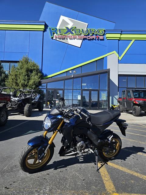 2023 Kawasaki Z125 Pro in Rexburg, Idaho - Photo 1