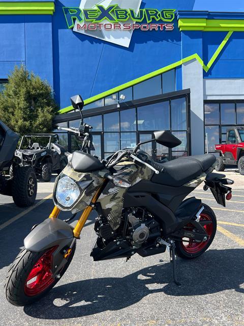 2025 Kawasaki Z125 Pro