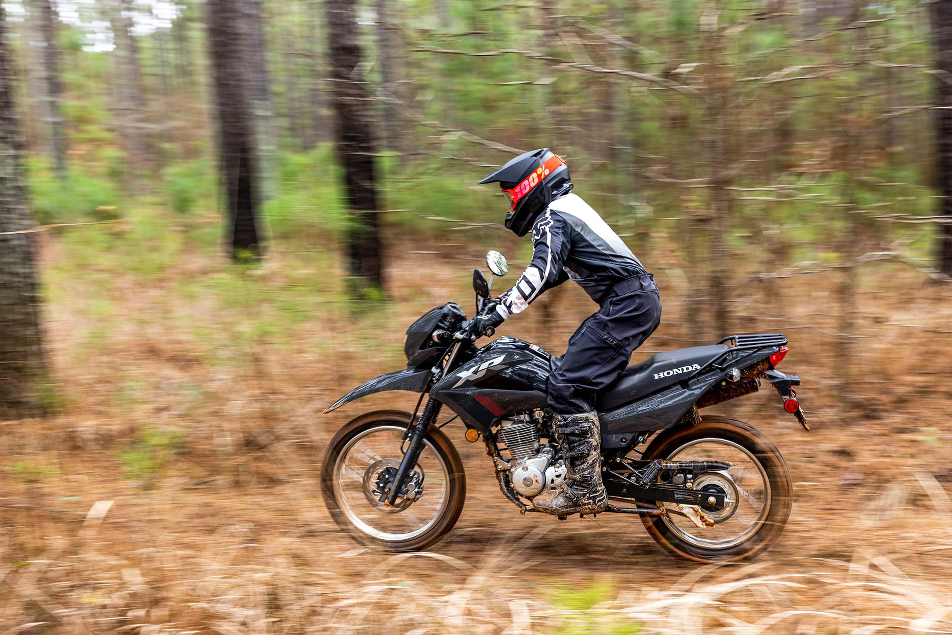 2026 Honda XR150L 4