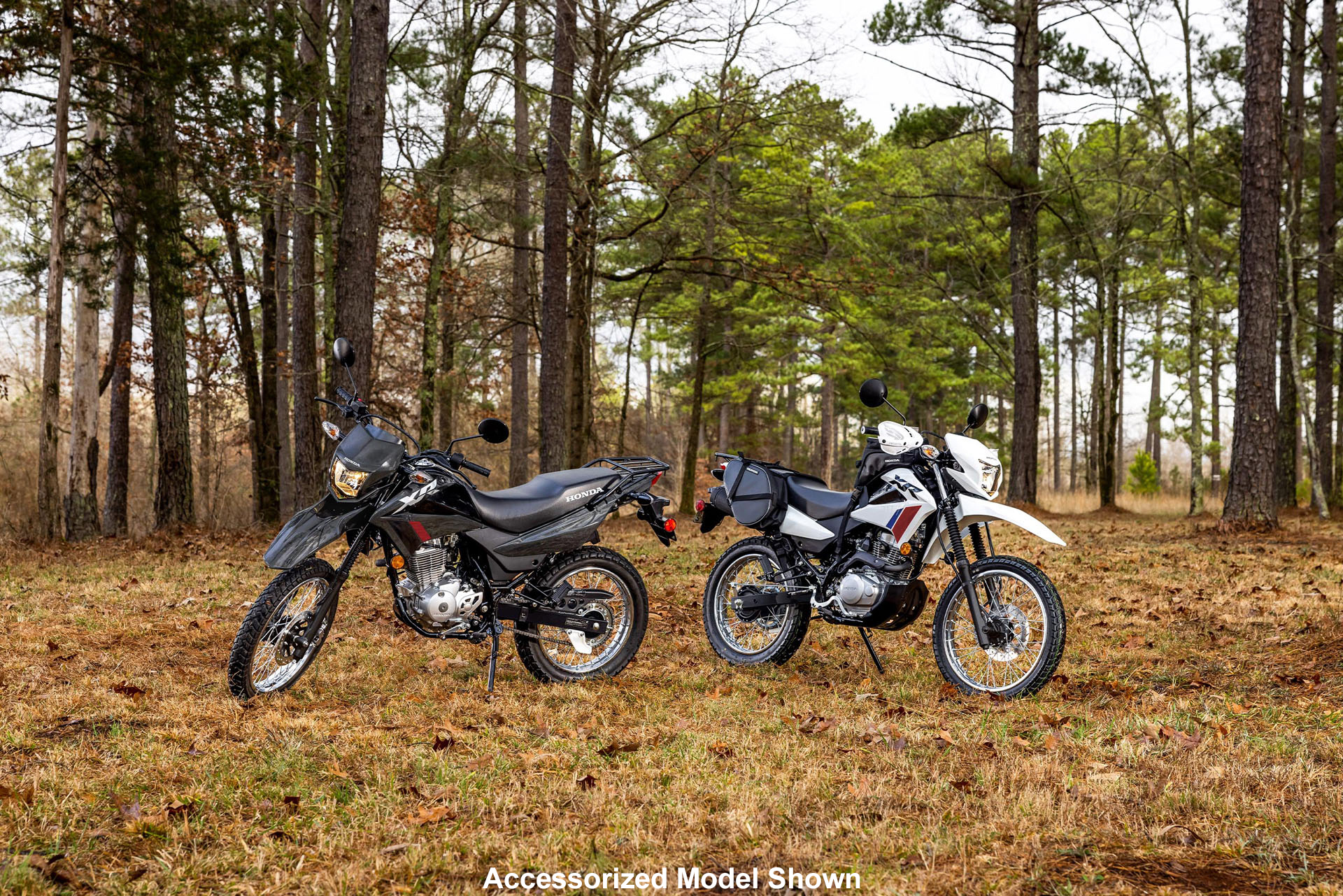 2026 Honda XR150L 7