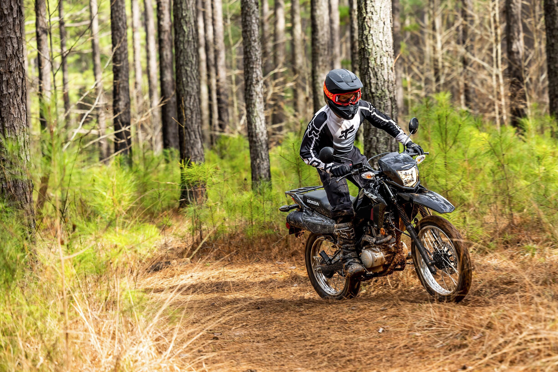 2026 Honda XR150L 8
