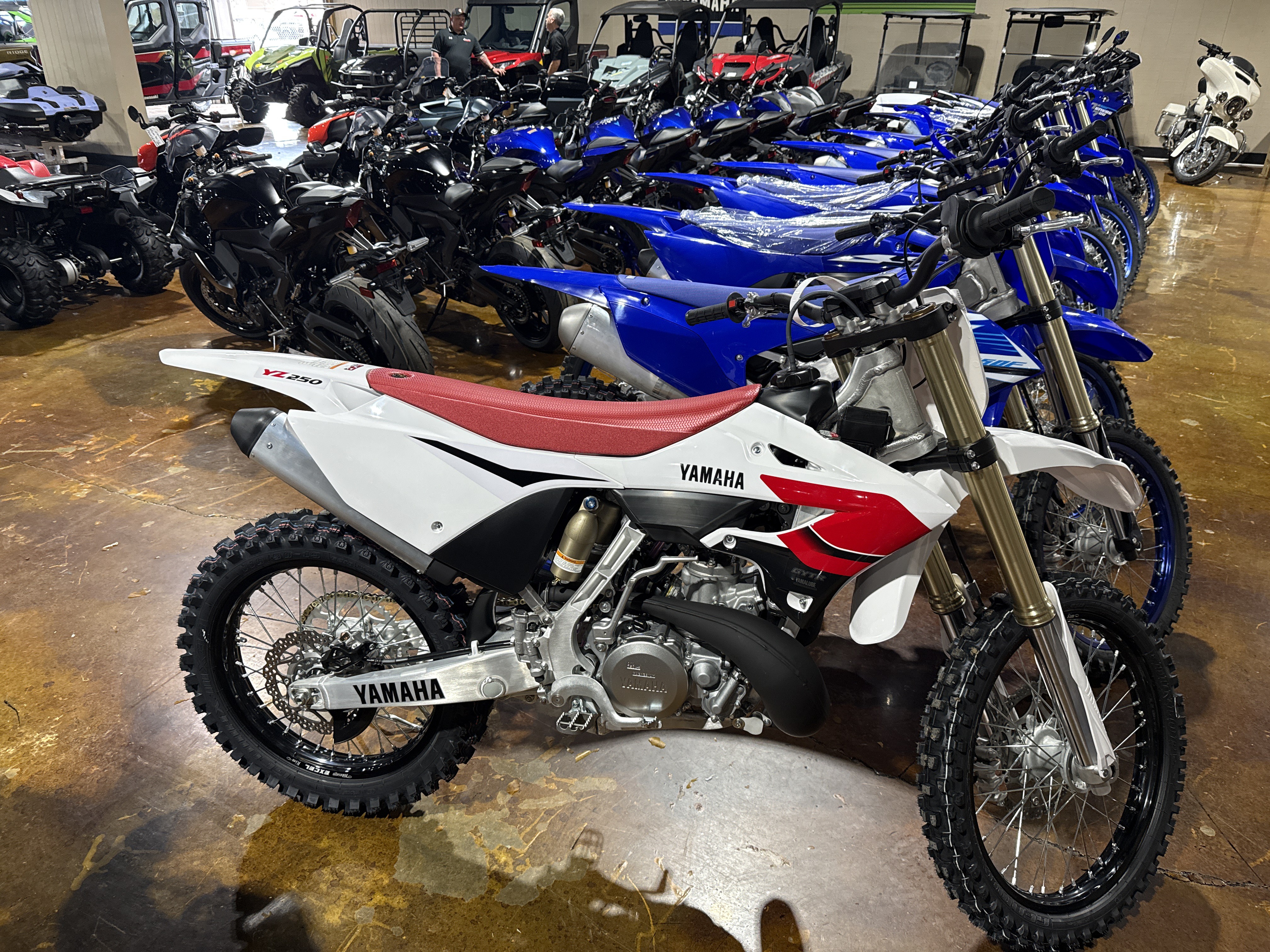 New 2026 Yamaha YZ250 70th Anniversary Edition, Cookeville TN