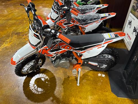 kayoページ Kayo For Sale: Inventory at Mid-State Motorsports, Cookeville TN