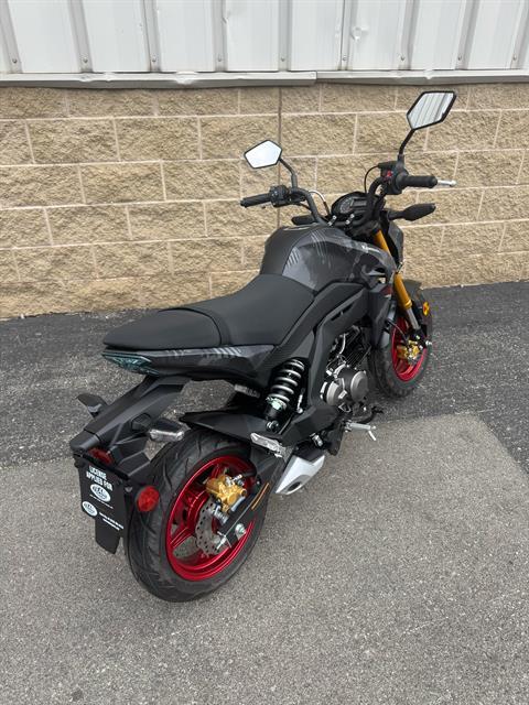 Used 2024 Kawasaki Z125 Pro, De Pere WI | Specs, Price, Photos