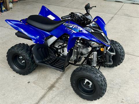 2026 Yamaha Raptor 110