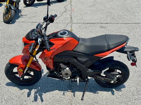New 2025 Kawasaki Z125 Pro, Panama City FL | Specs, Price, Photos