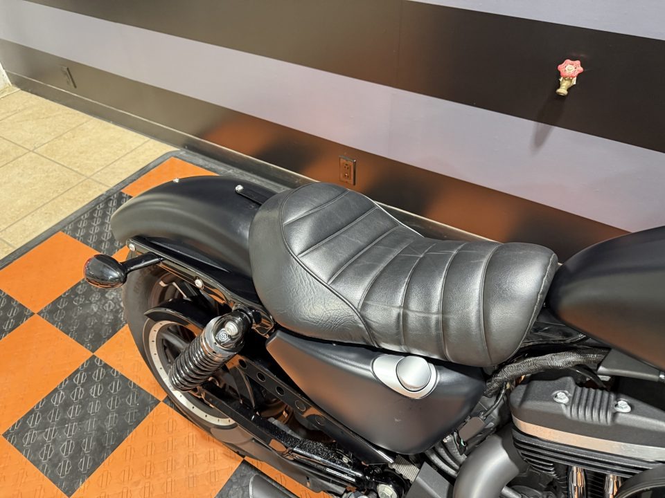2020 Harley-Davidson Iron 883 8