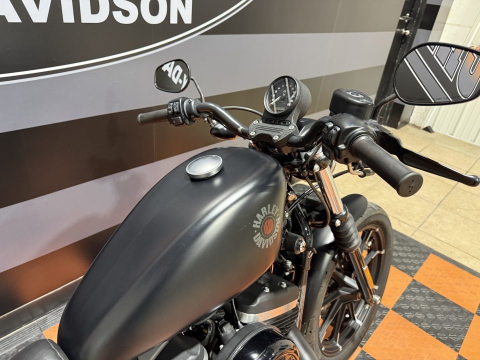 2020 Harley-Davidson Iron 883 9