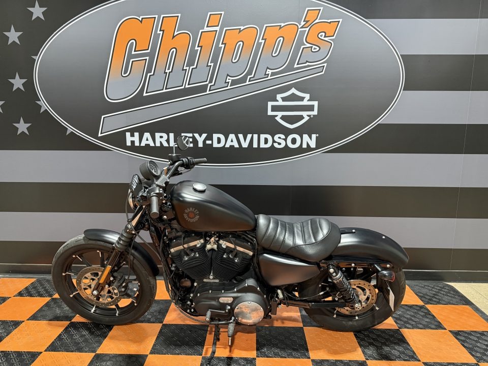 2020 Harley-Davidson Iron 883 10