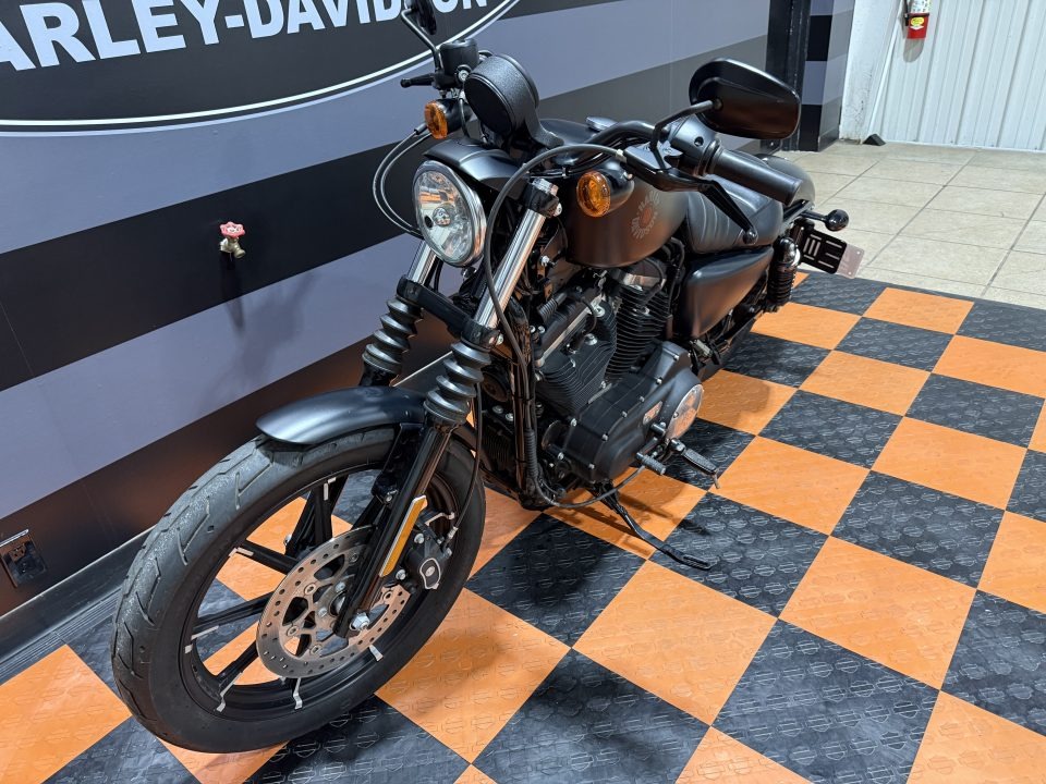 2020 Harley-Davidson Iron 883 12