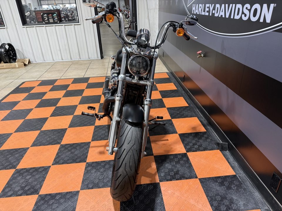 2015 Harley-Davidson 1200 Custom 5