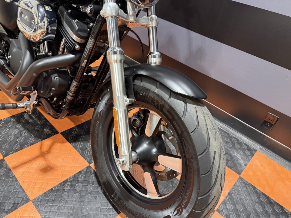 2015 Harley-Davidson 1200 Custom 6