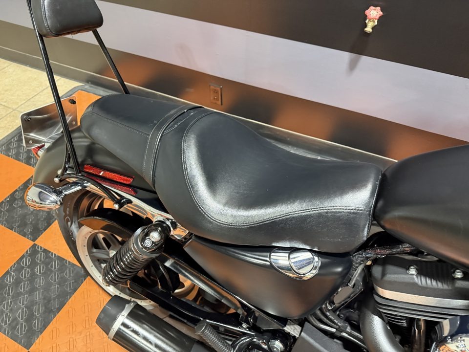 2015 Harley-Davidson 1200 Custom 8