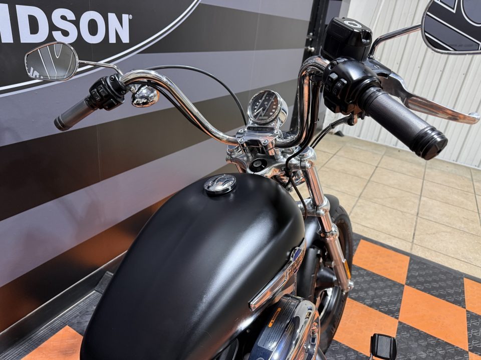 2015 Harley-Davidson 1200 Custom 9