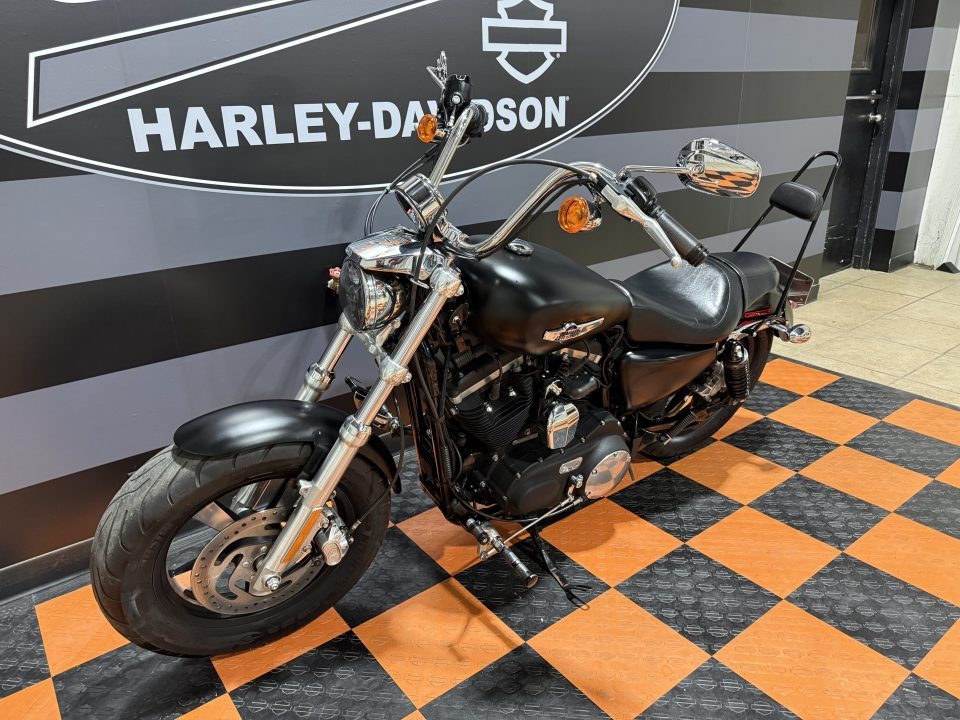 2015 Harley-Davidson 1200 Custom 11