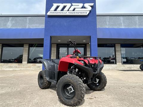 2025 Yamaha Grizzly 110 in Marionville, Missouri - Photo 1