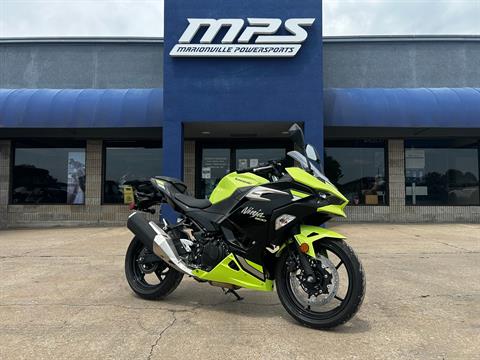2026 Kawasaki Ninja 500 ABS — photo 1 of 14