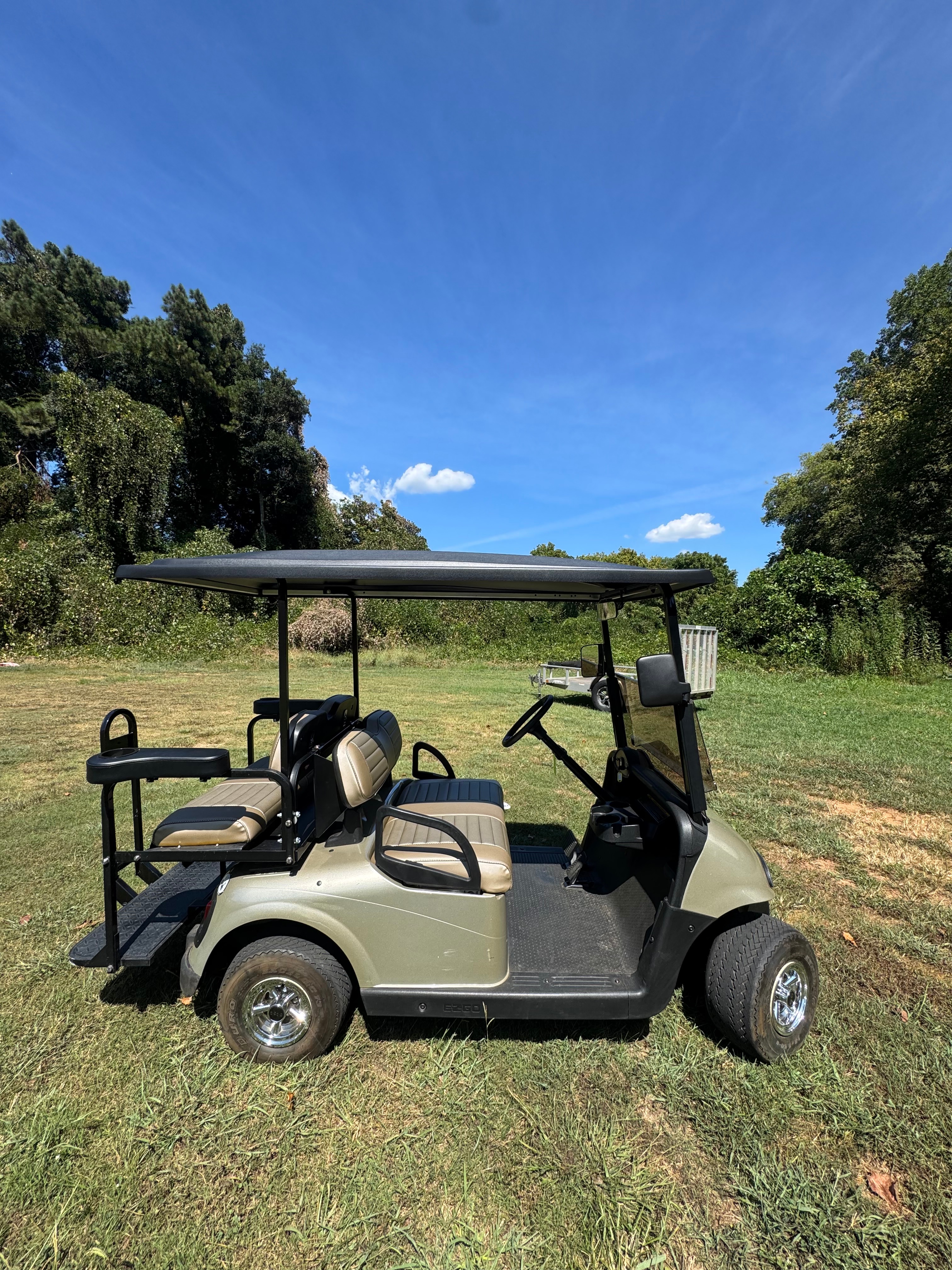 2010 EZGO RXV