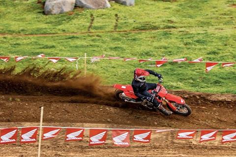 2026 Honda CRF250R in Tuscaloosa, Alabama - Photo 5