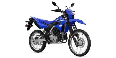 2026 Yamaha WR125R in Tuscaloosa, Alabama - Photo 1