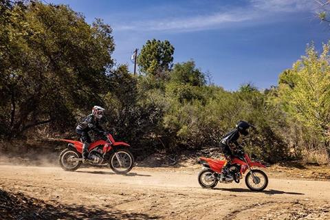2026 Honda CRF110F in Tuscaloosa, Alabama - Photo 4