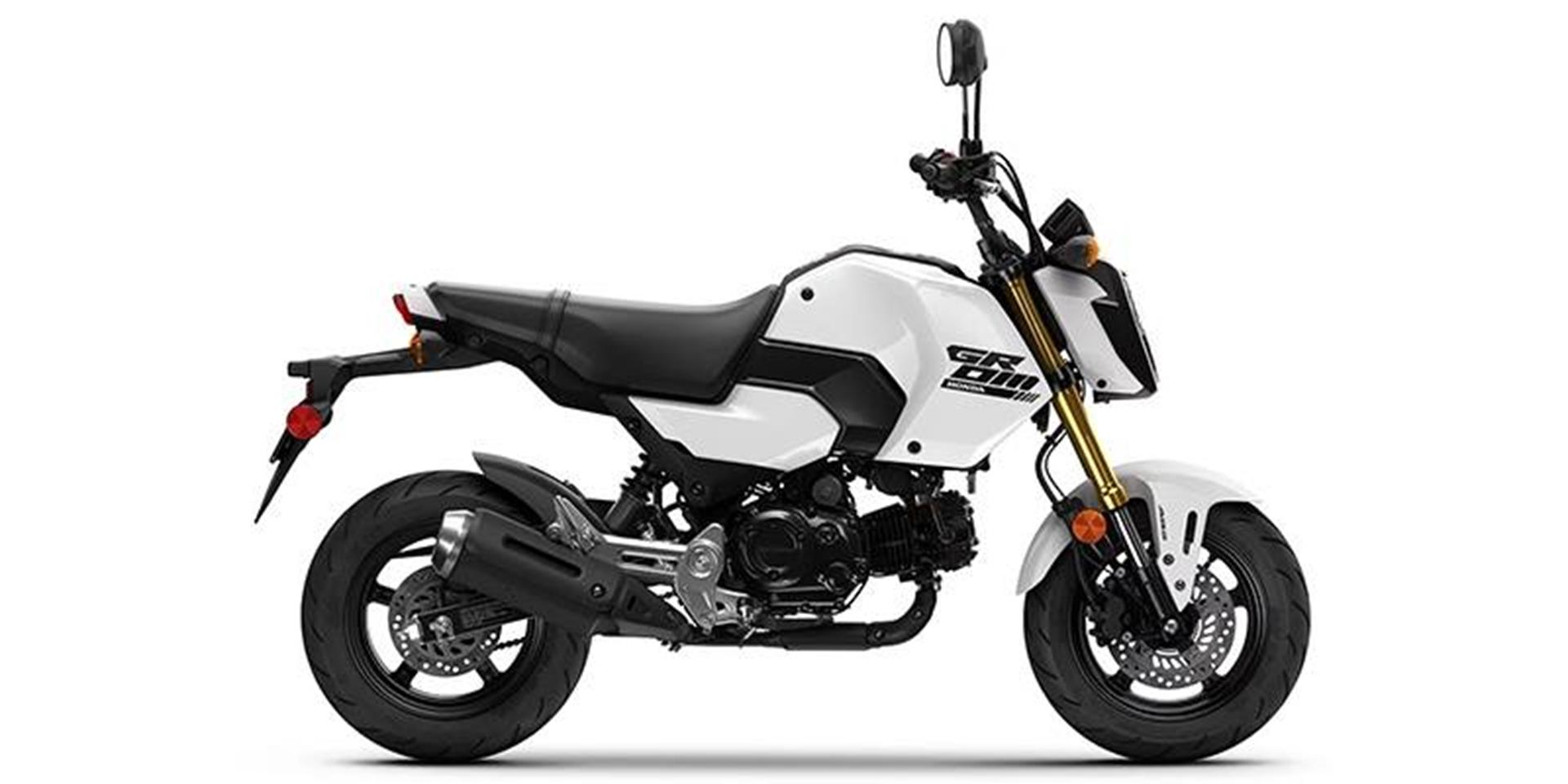 2025 Honda Grom ABS in Tuscaloosa, Alabama - Photo 1