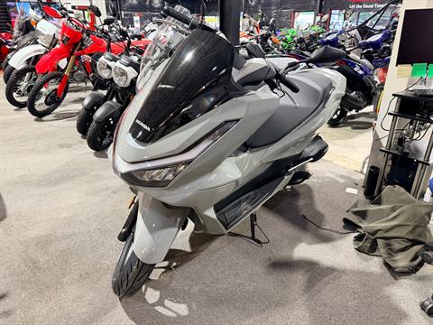 New 2026 Honda PCX Pearl Gray | Scooters in Crossville TN | HM100256