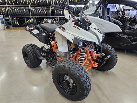 Kayo☆ 2021 Kayo K6-R | Zeigler Motorsports