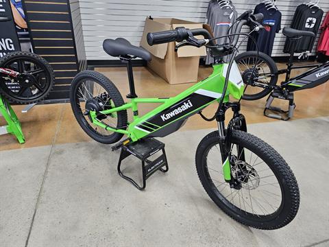 New 2025 Kawasaki Elektrode 20 Lime Green | Electric