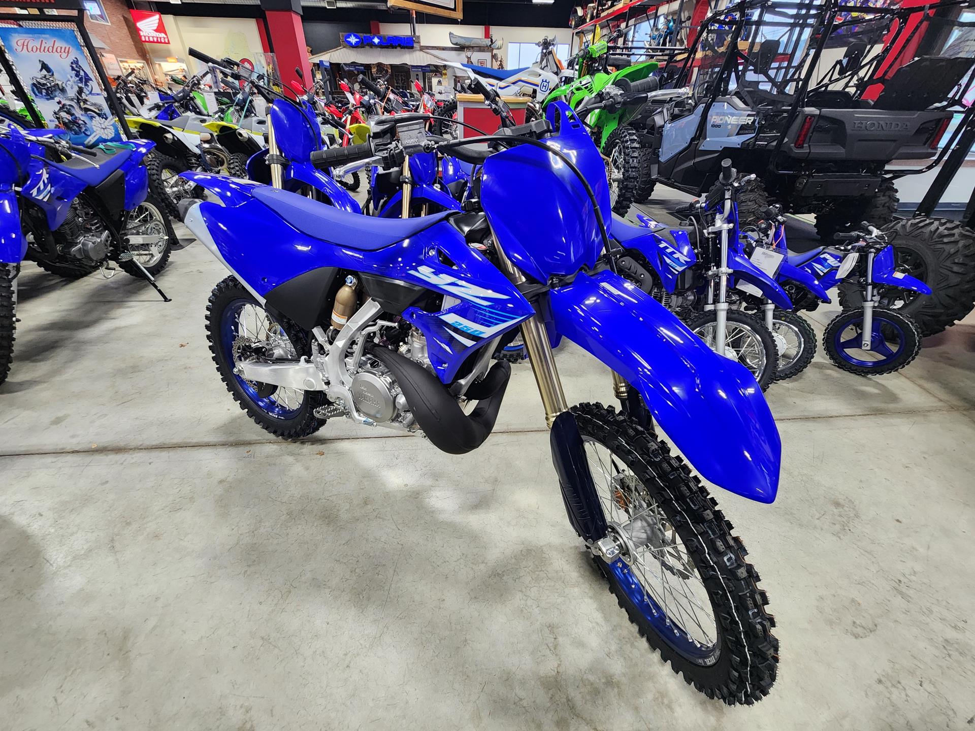 2025 Yamaha YZ250 in Auburn, Massachusetts - Photo 1