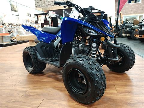 2026 Yamaha Raptor 110 — photo 1 of 16