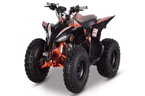 2025 Kayo Predator 125 EFI in Auburn, Massachusetts - Photo 1