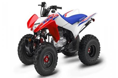 2026 Honda TRX250X in Auburn, Massachusetts - Photo 1