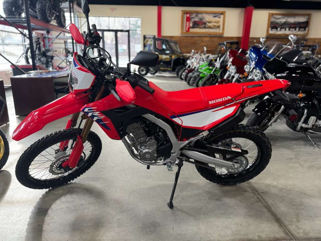 2025 Honda CRF300L ABS in Auburn, Massachusetts - Photo 3