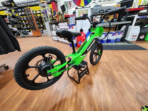 2024 Kawasaki Elektrode 16 in Auburn, Massachusetts - Photo 1