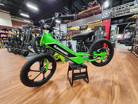2024 Kawasaki Elektrode 16 in Auburn, Massachusetts - Photo 2