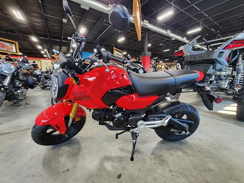 2025 Honda Grom in Auburn, Massachusetts - Photo 1