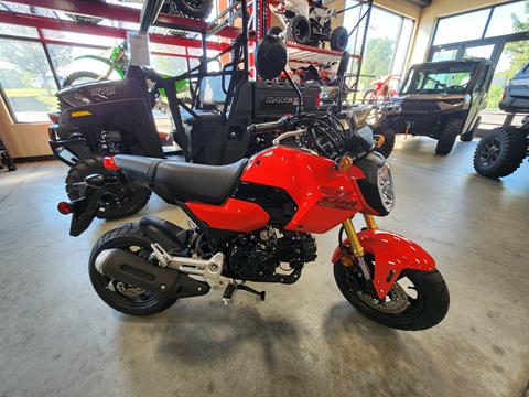 2025 Honda Grom in Auburn, Massachusetts - Photo 2