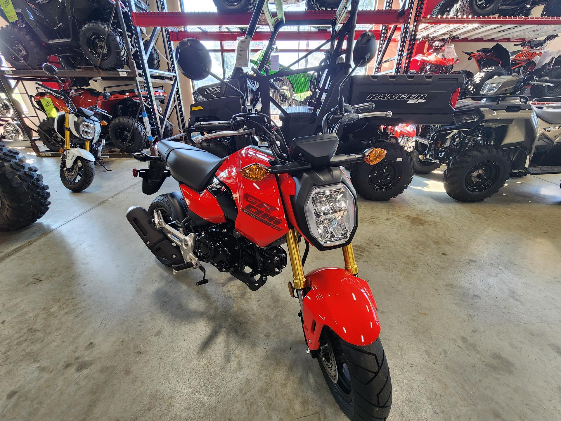 2025 Honda Grom in Auburn, Massachusetts - Photo 3